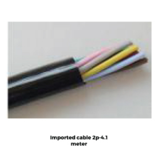 Picture of Imported Cable 2P-4.1 Meter